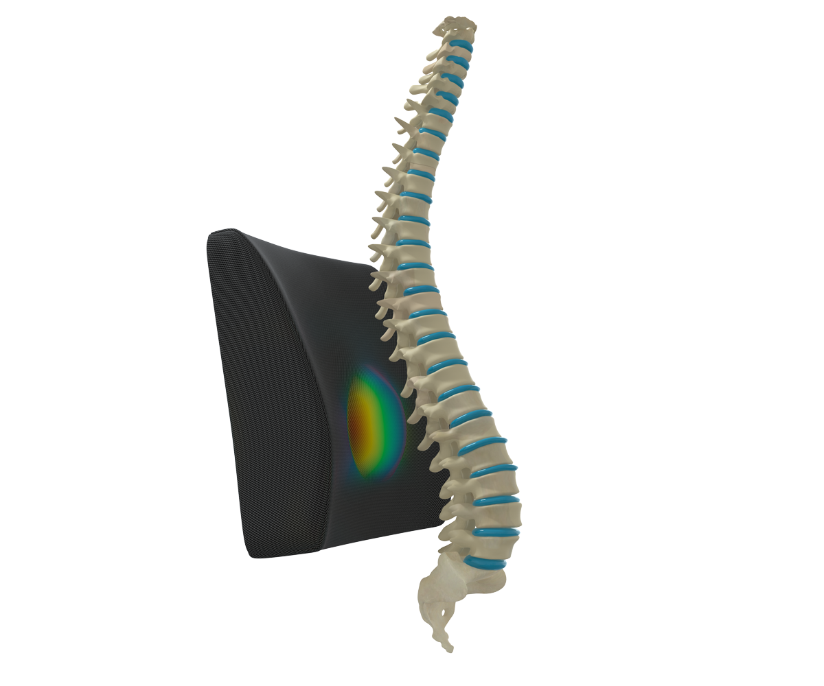 Cojín con soporte lumbar TheraShape