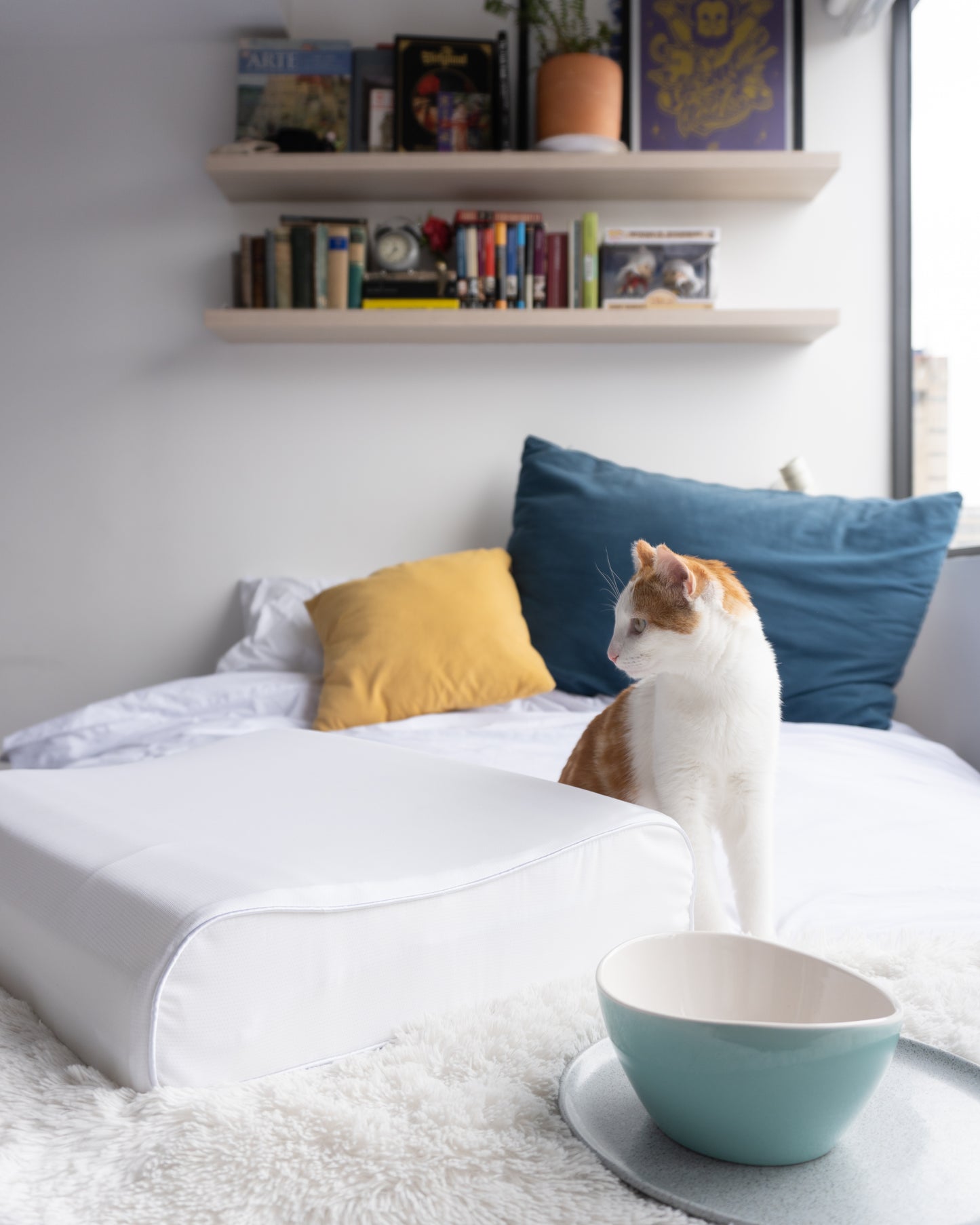 Almohada Ergonómica TheraCurve