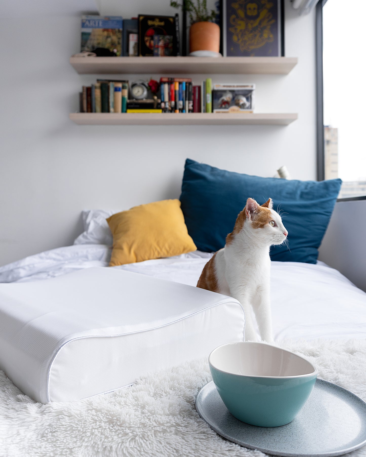 Almohada Ergonómica TheraCurve