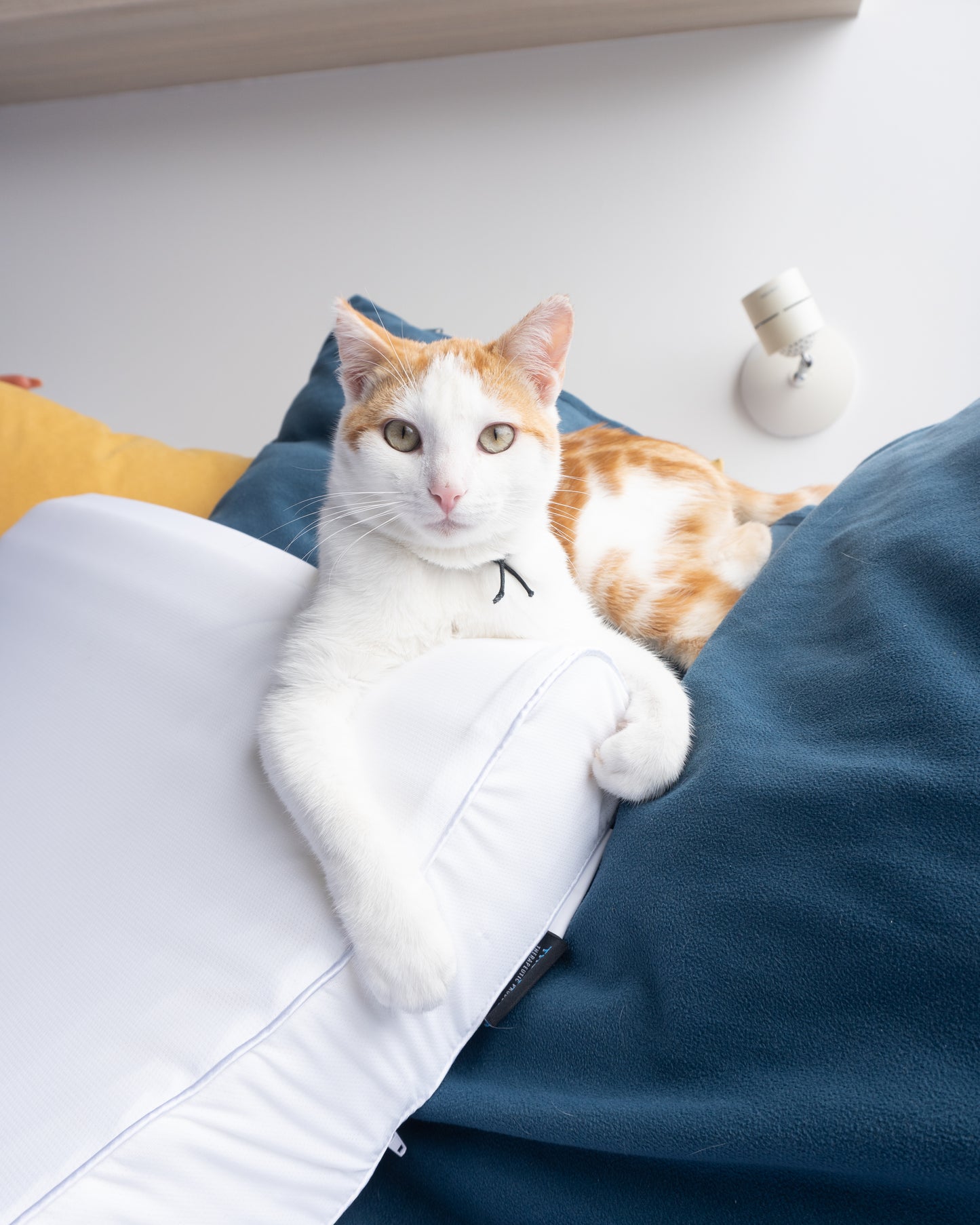 Almohada Ergonómica TheraCurve