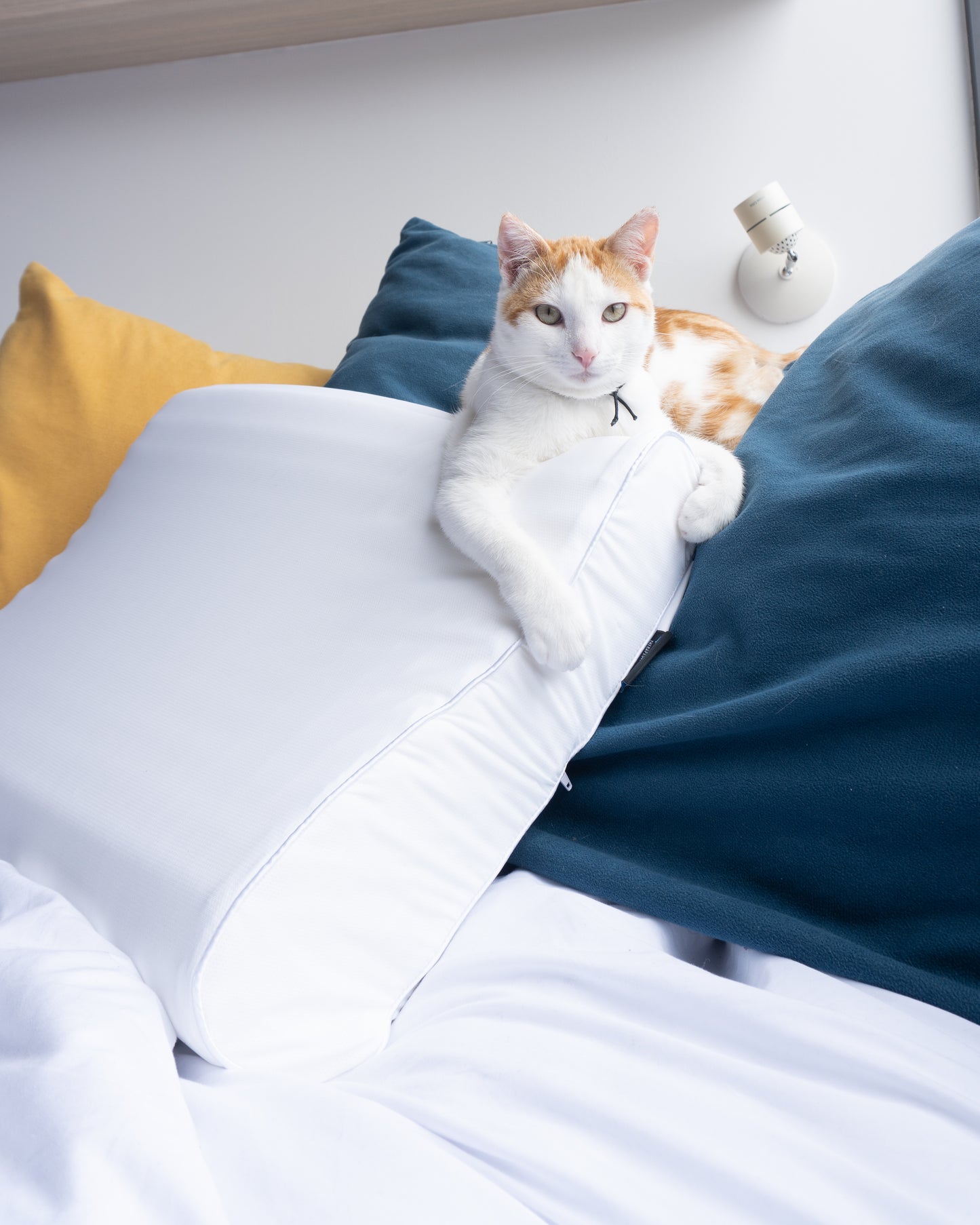 Almohada Ergonómica TheraCurve